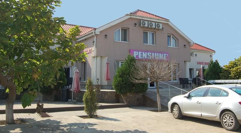 נדלאק Pensiunea Rodica מראה חיצוני תמונה